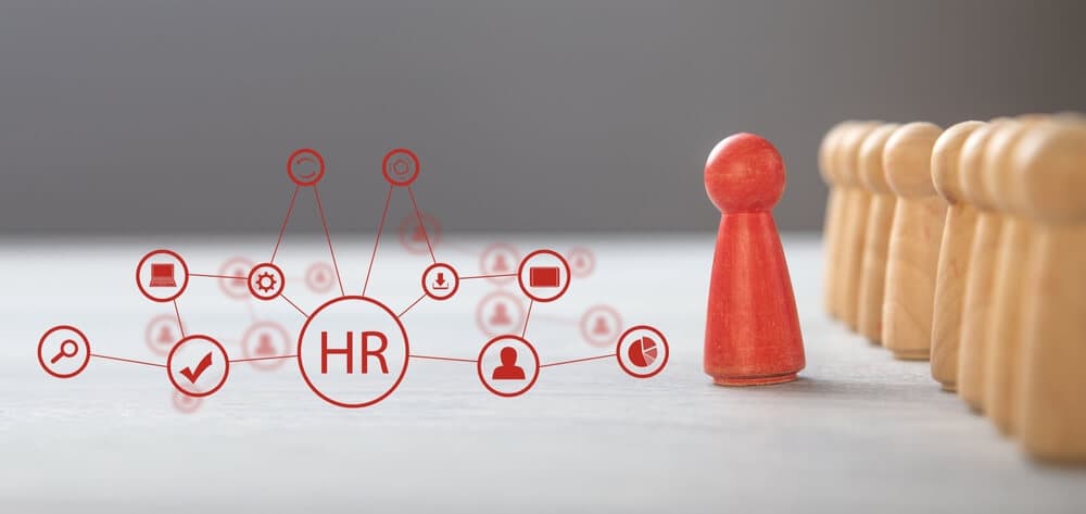 Procodde Career Opportunities